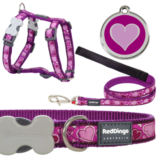 check out our dog walking sets - huge colour &amp; pattern range