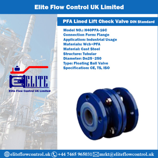 PFA Lined Lift Check Valve DIN Standard