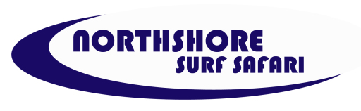 surf school and surf lessons newquay