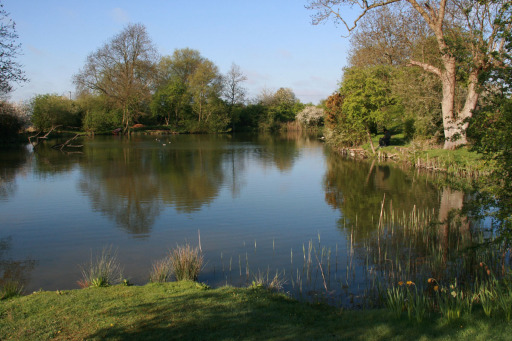 Lakeside fishery main lake