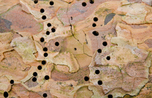 image0