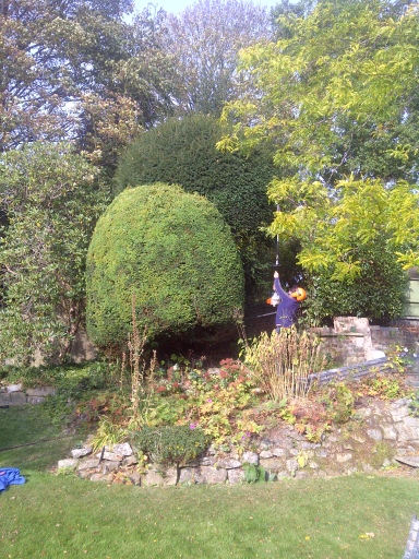 image0