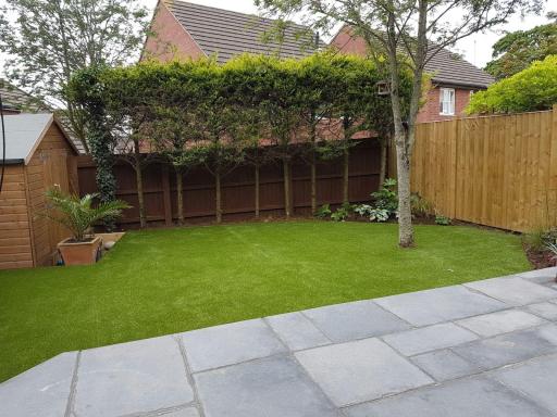 image1