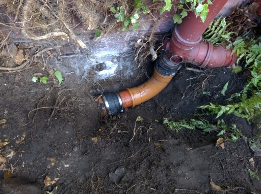 root intrusion repair