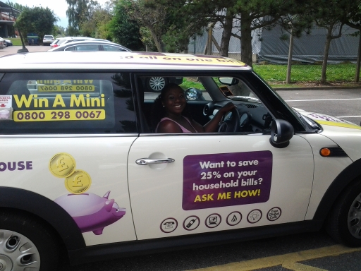 My FREE Mini!