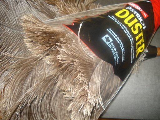 Ostrich Feather Duster