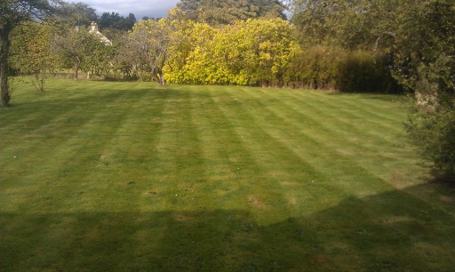 Estate garden mowed by roller mower creating strips.