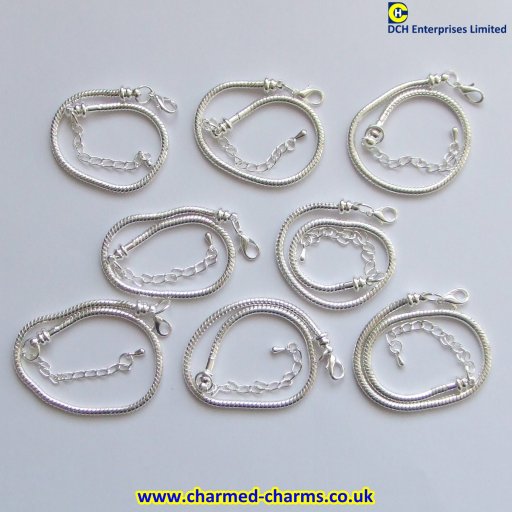 Silver Plated Snake Chain Charm Bracelets