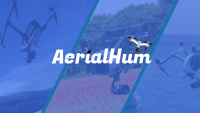Aerial HUm