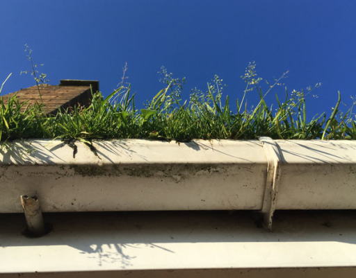 Heavily blocked gutter
