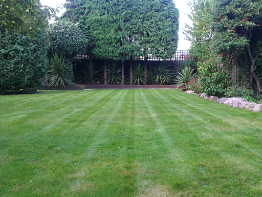 Garden maintenance and planting