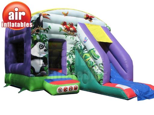 Bouncy Castle/Slide Combo