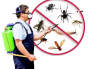 Pest Control Brighton