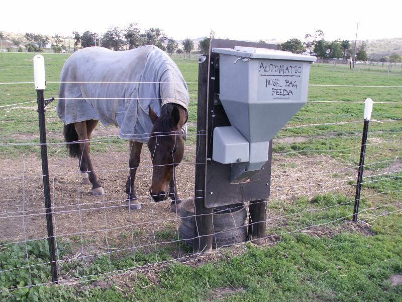 Automatic Nosebag Horse Feeders Industrial Av Toowoomba City Qld