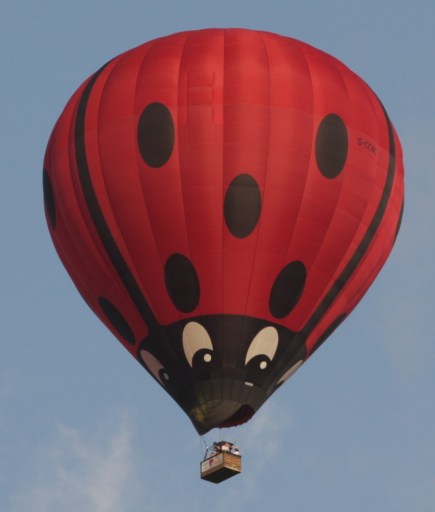 The Famous Ladybird Balloon