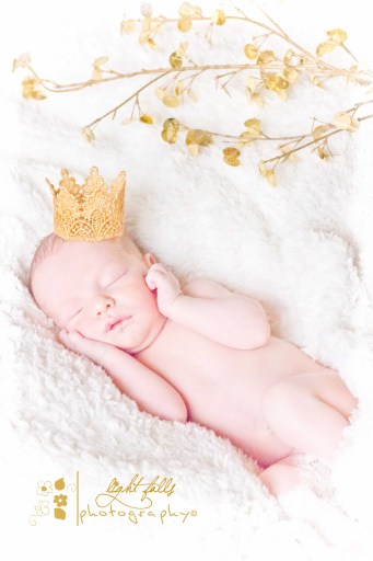 newborn photography bedford