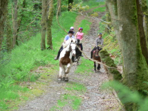 riding holiday