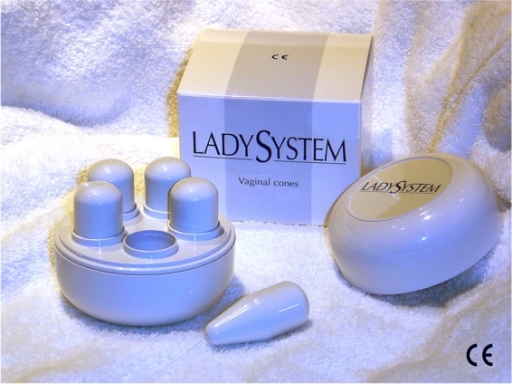 Data Plastics LadySystems