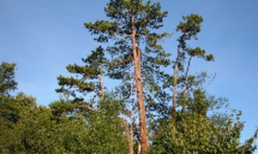 image0