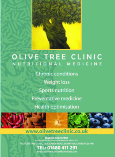 Olive Tree Clinic Summary