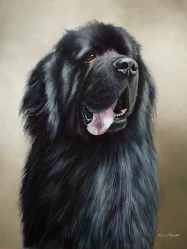 Original Pet Portrait Painting of Basil, Newfoundland