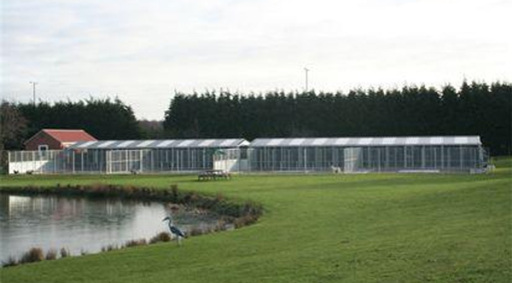 Cattery In Saxilby