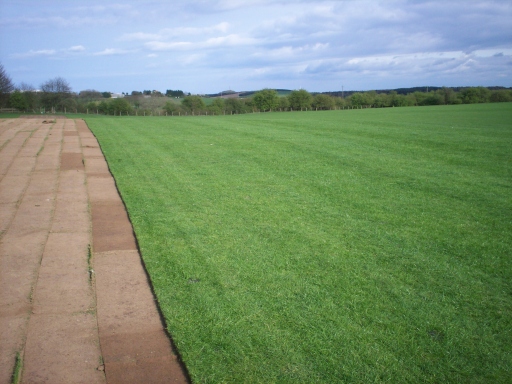 castle eden turf