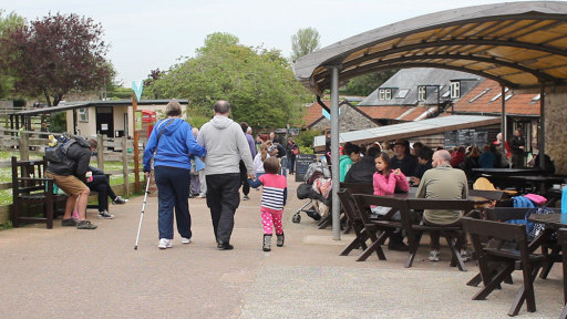 Animal Sanctuary_Buxton