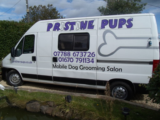Mobile grooming salon, fully equipped for your dog's comfort