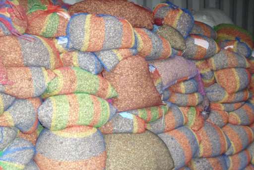 Greentropics Bulk Wholesale Civet Coffee