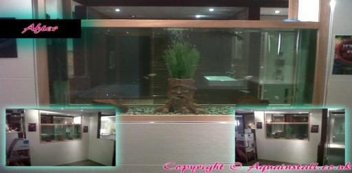 Fish Tank Service