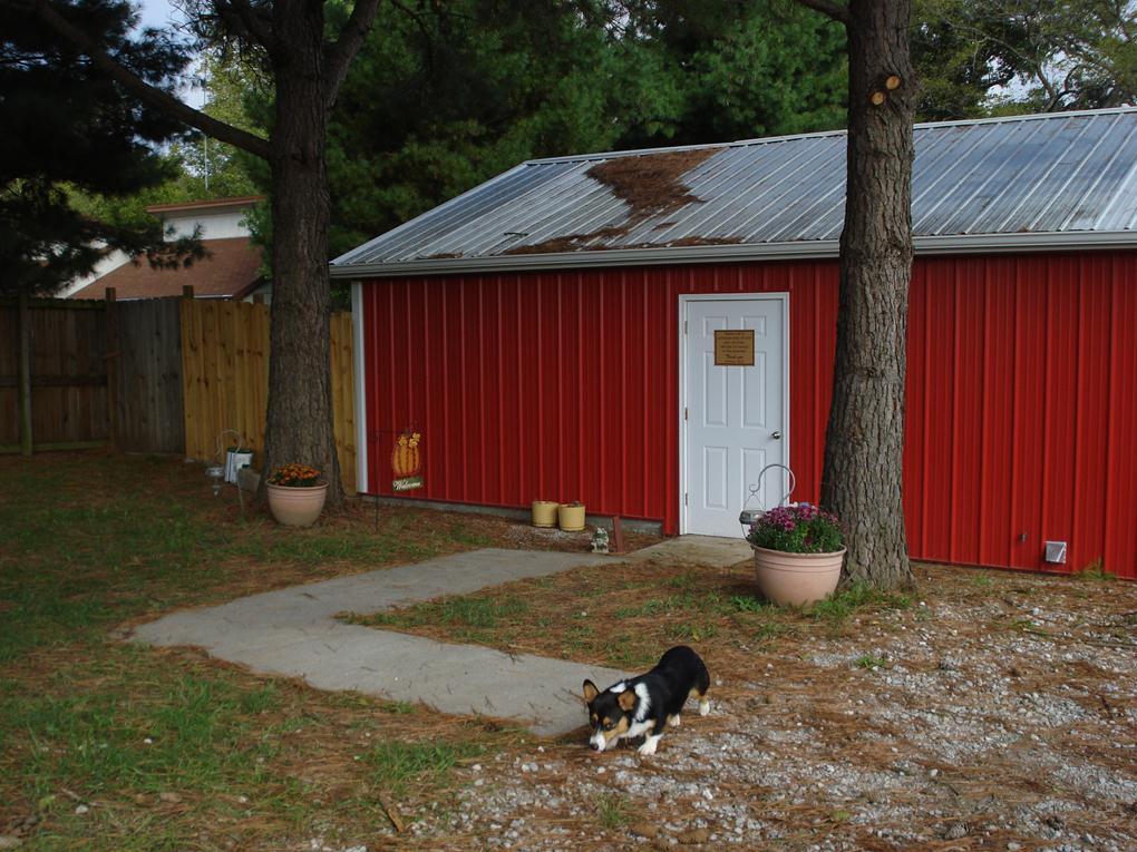 Bed & Biscuit Boarding Kennel 521 Spring Cliff Dr, Rogers, AR, 727567432