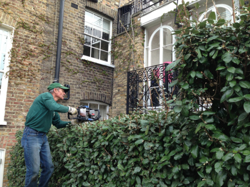 Garden Maintenance