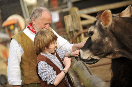 Manor Farm Country Park Farmyard