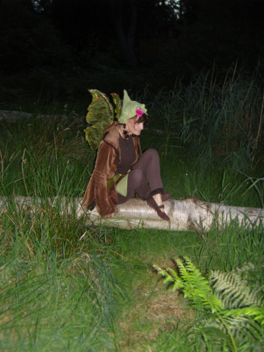Woodland fairy wings