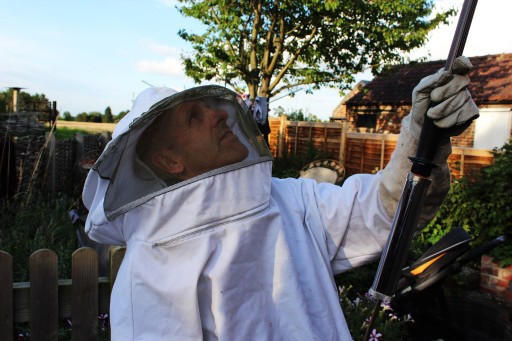 Wasp Control Doncaster
