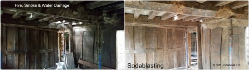 fore damage remediation