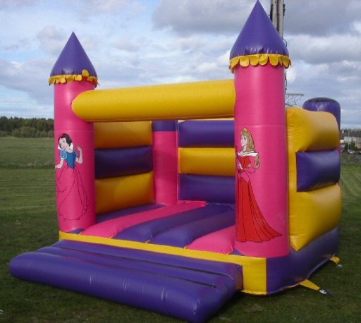 girls princess castle ??40 a day