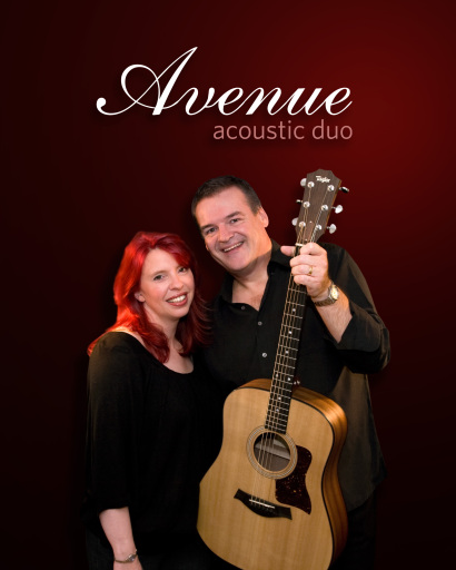 Avenue Acoustic Duo: live wedding music and entertainment for weddings, corporate functions, parties