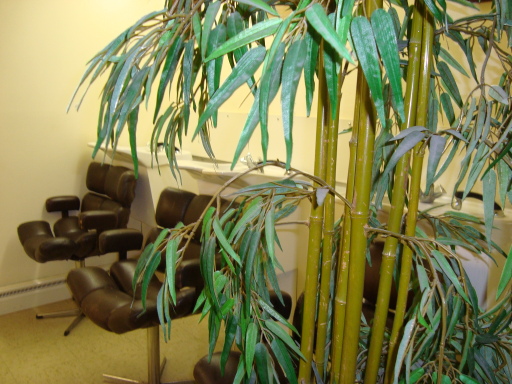 shampoo area