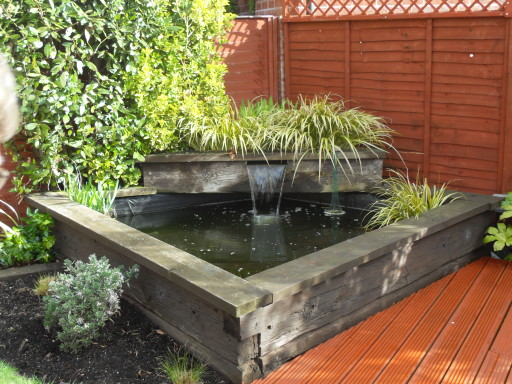 Pond maintained in Chepstow