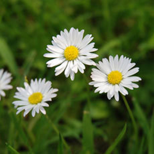 image0