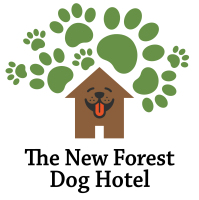 New Forest Dog Hotel