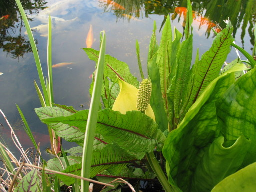 image0