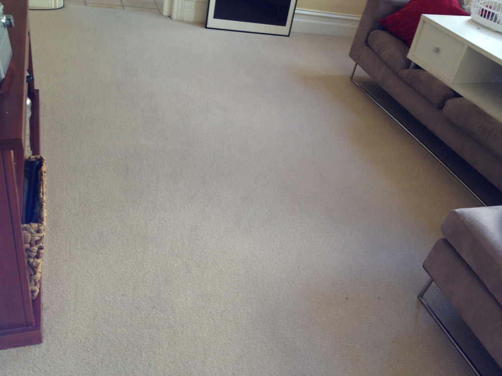 Black Gold Carpet Cleaning 1114 Dandenong Road, Carnegie ...