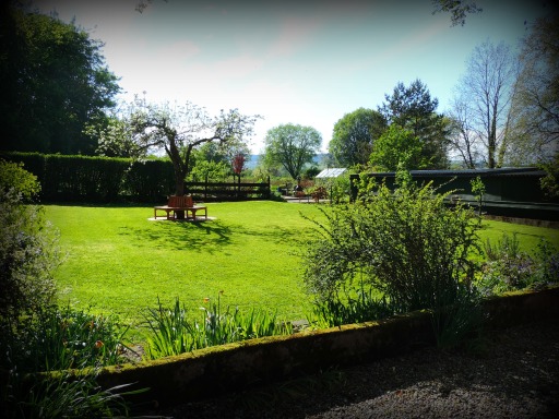 Quiet Cattery Gardens with lots of birdlife