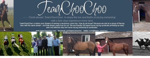 TeamChooChoo - Steaming in to horse racing syndicates
