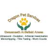 Dragon Pet Services