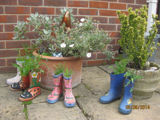 Little Poppets planting