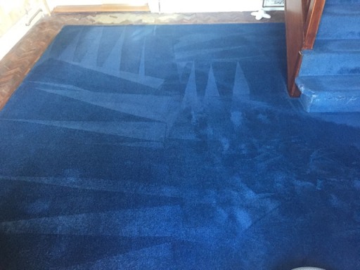 Carpet cleaned and sanitised